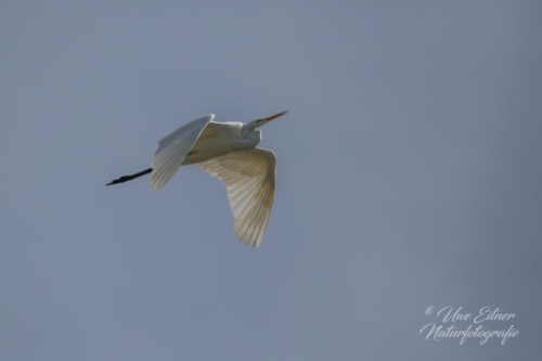 Benutzerdefinierter-Name-018