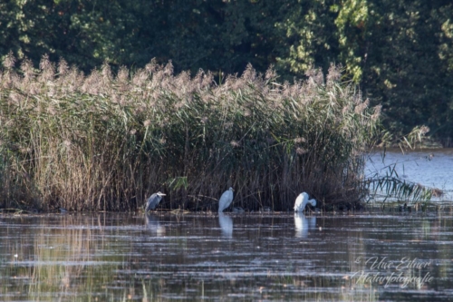 Benutzerdefinierter-Name-070