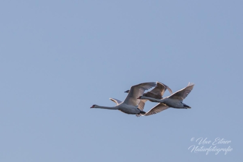 Benutzerdefinierter-Name-079