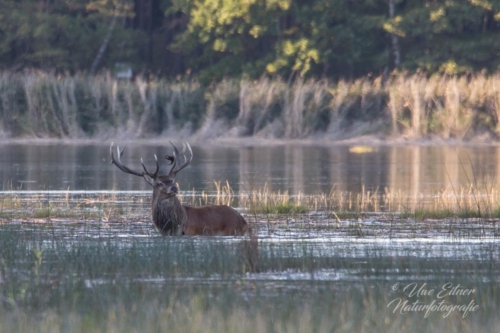 Benutzerdefinierter-Name-086