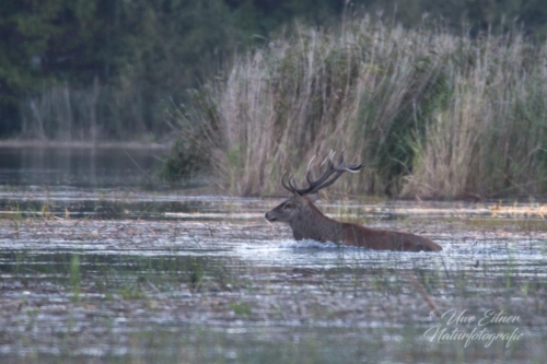 Benutzerdefinierter-Name-087