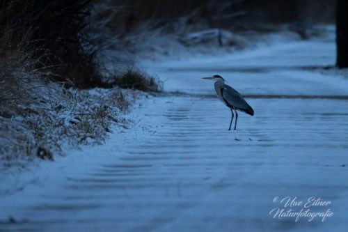 Benutzerdefinierter-Name-003