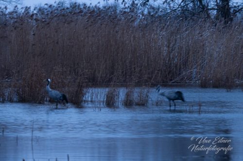Benutzerdefinierter-Name-017