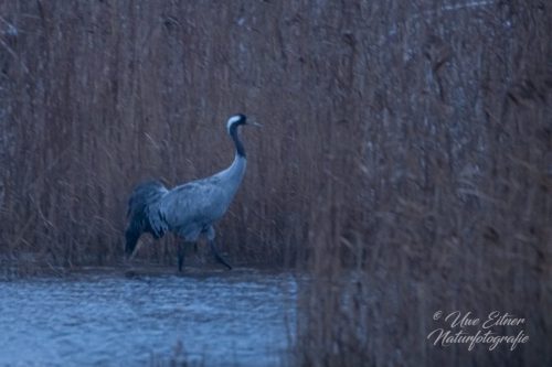 Benutzerdefinierter-Name-028