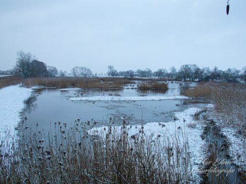 Benutzerdefinierter-Name-704