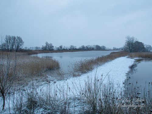 Benutzerdefinierter-Name-705