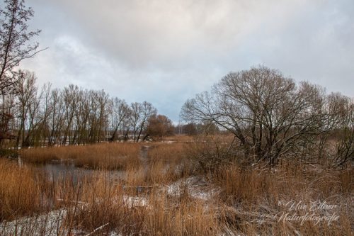 Benutzerdefinierter-Name-711