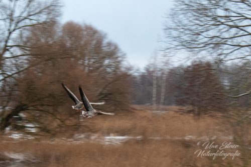 Benutzerdefinierter-Name-714