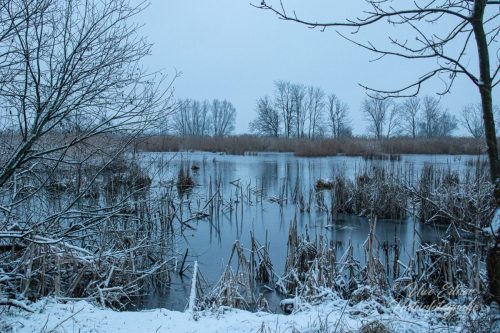 Benutzerdefinierter-Name-720