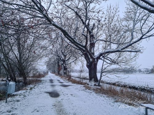 Benutzerdefinierter-Name-802