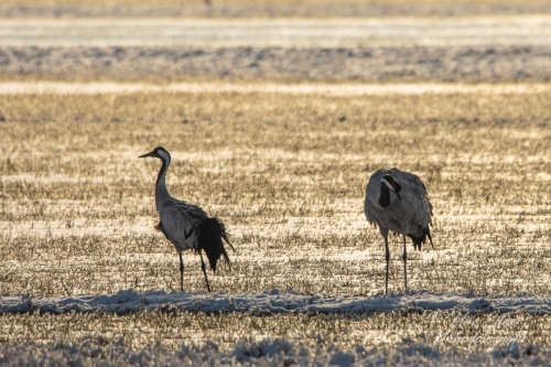 Benutzerdefinierter-Name-051