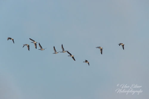 Benutzerdefinierter-Name-063