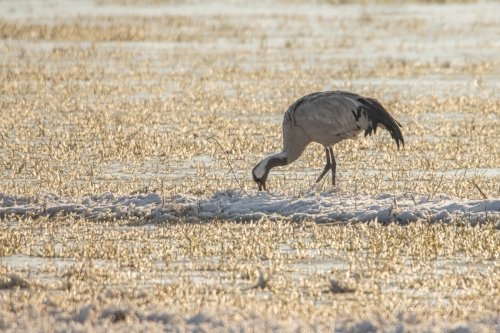 Benutzerdefinierter-Name-075