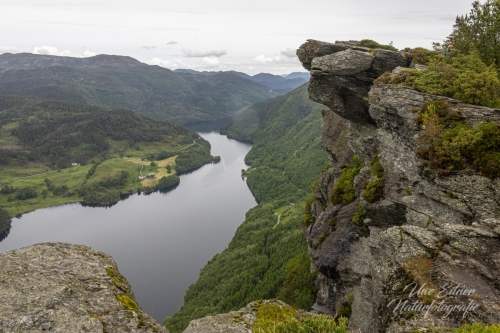 Himakånå - Kleine Trollzunge