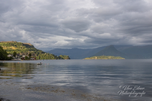 Am Hardangerfjord