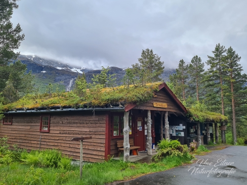 Empfang Camping Hyttegrund