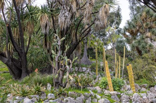 Botanischer Garten Hanbury