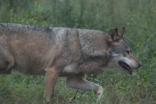 200923 Urlaub Pfalz 297